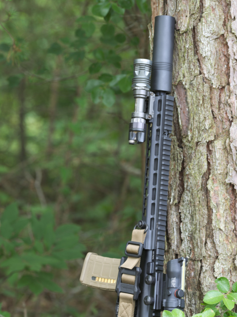 The constitution is right at home on your 556 SBR as well as a host of other guns.